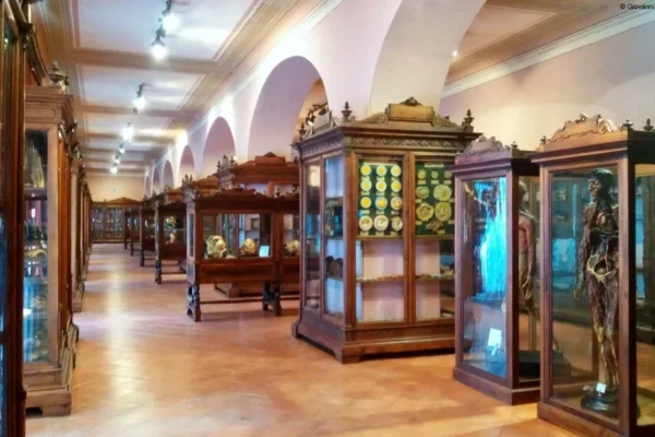 Museo Federiciani, Napoles